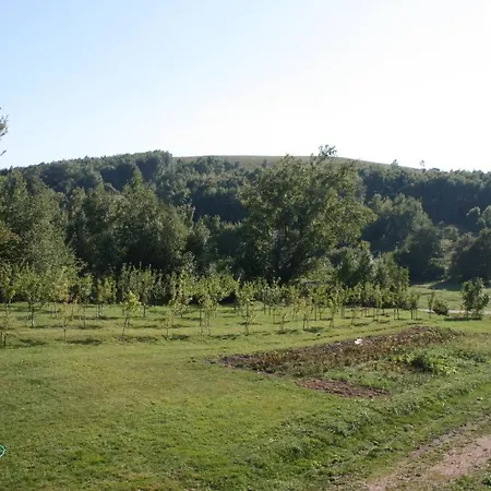 Family Friendly House With A Swimming Pool Breze, Novi Vinodolski - 6920