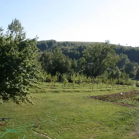 Family Friendly House With A Swimming Pool Breze, Novi Vinodolski - 6920 Nyaraló Ledenice