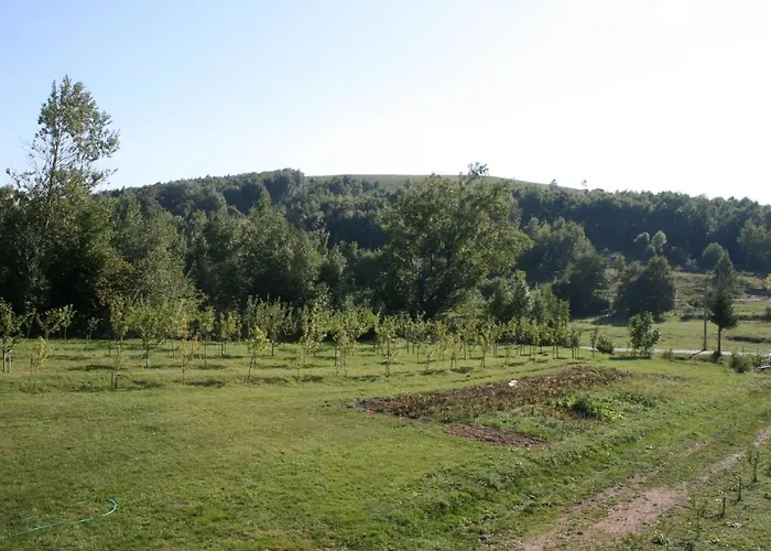 Family Friendly House With A Swimming Pool Breze, Novi Vinodolski - 6920