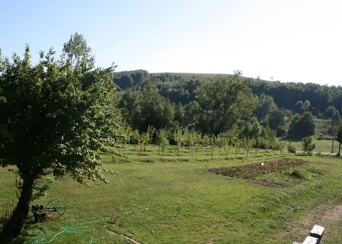 Family Friendly House With A Swimming Pool Breze, Novi Vinodolski - 6920 Holiday home Ledenice
